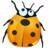 insect Icon